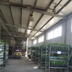 школка хвойных дрэў, лісцяных дрэў і шматгадовых раслін